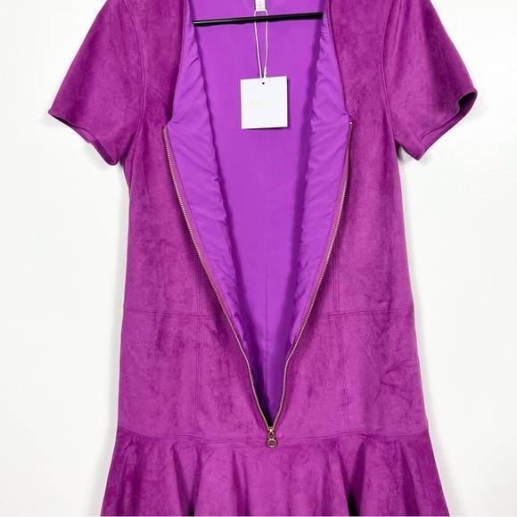 Anna Cate Tuckernuck Dora suede drop waist ruffle hem mini dress NWT small - Picture 6 of 7